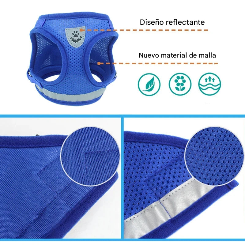 Arnés Cómodo con Correa para Gatos