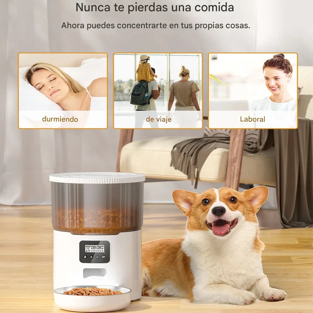Comedero Automático + Fuente de Agua Inteligente para Mascotas