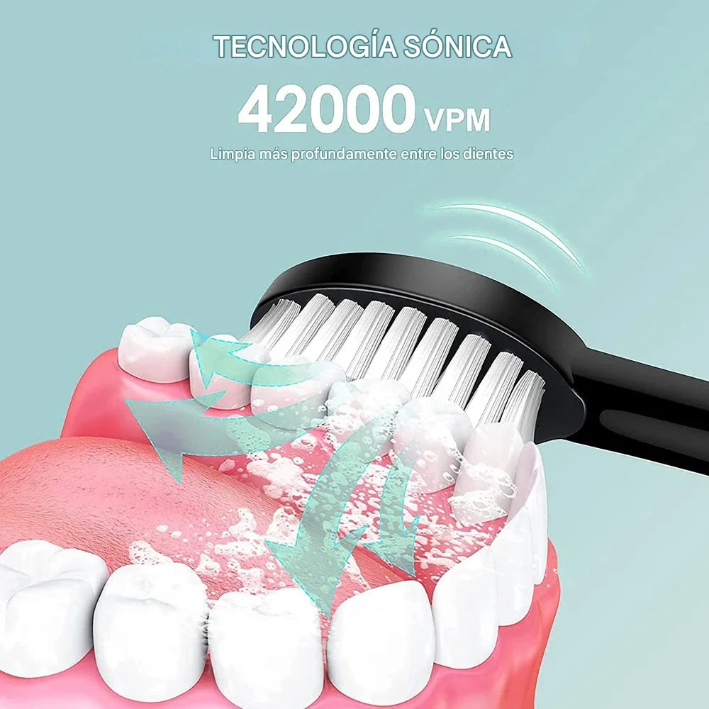 Cepillo Dental Sónico Premium
